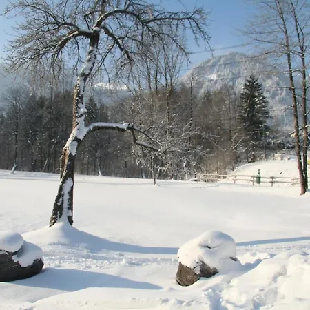 Montafon Holiday home *